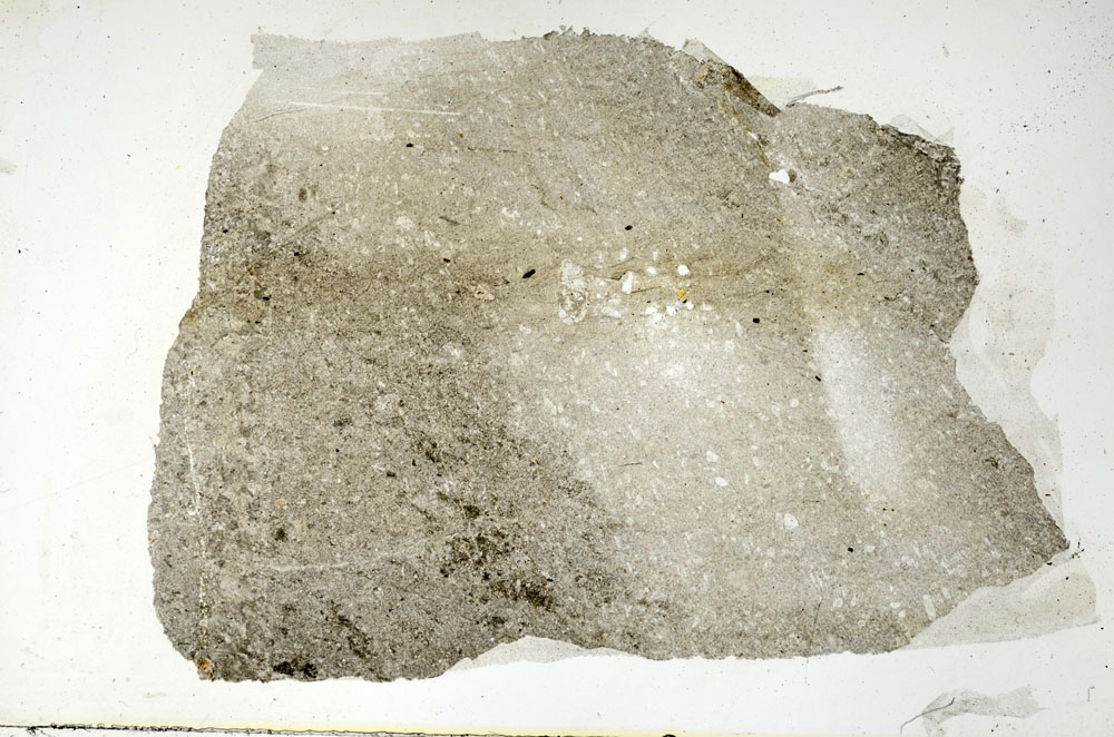 Plane Polarized, S88422