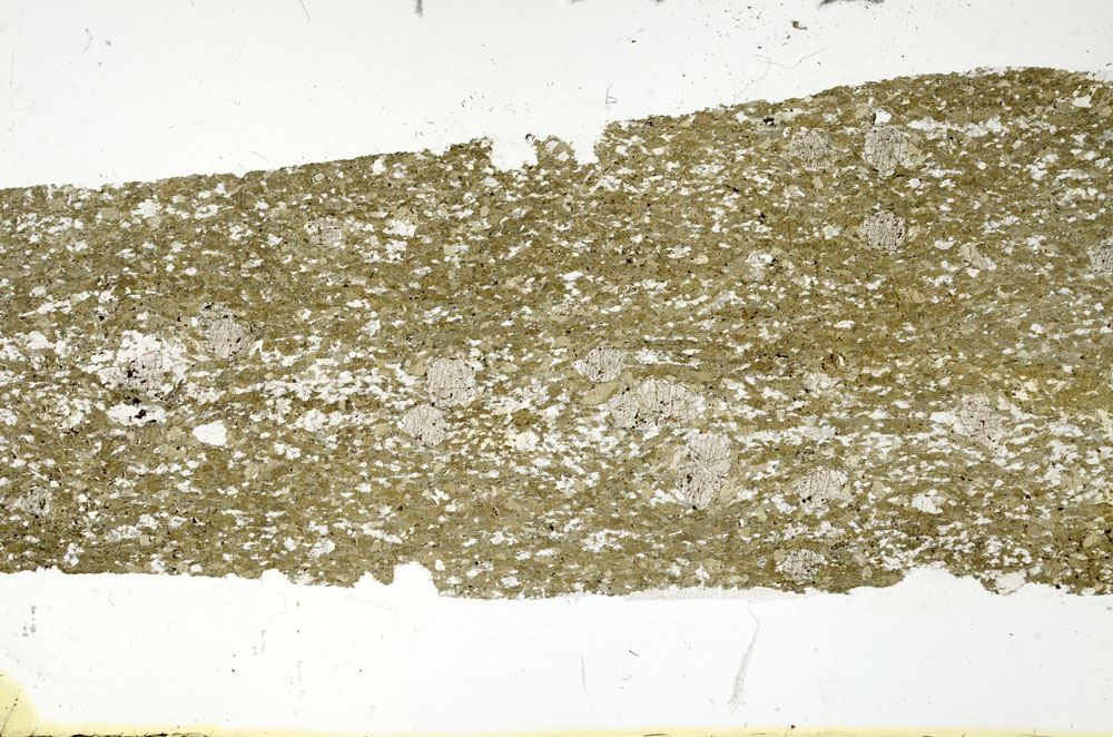 Plane Polarized, S88428