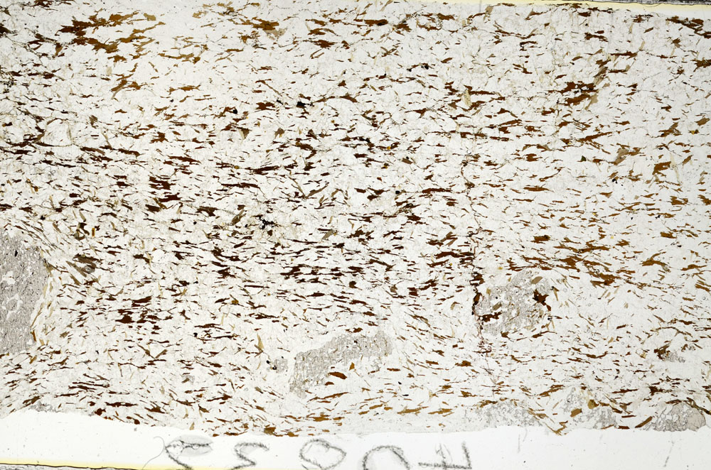 Plane Polarized, S88430