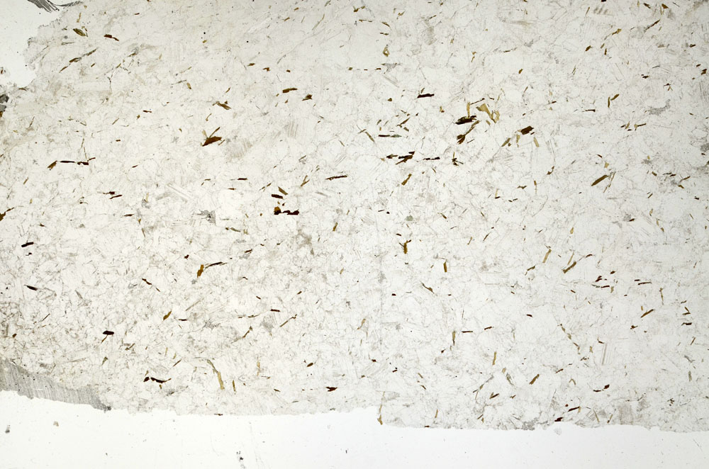 Plane Polarized, S88433
