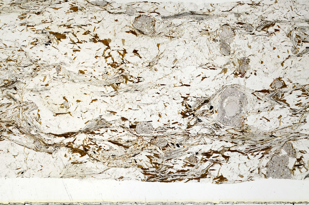 Plane Polarized, S88434