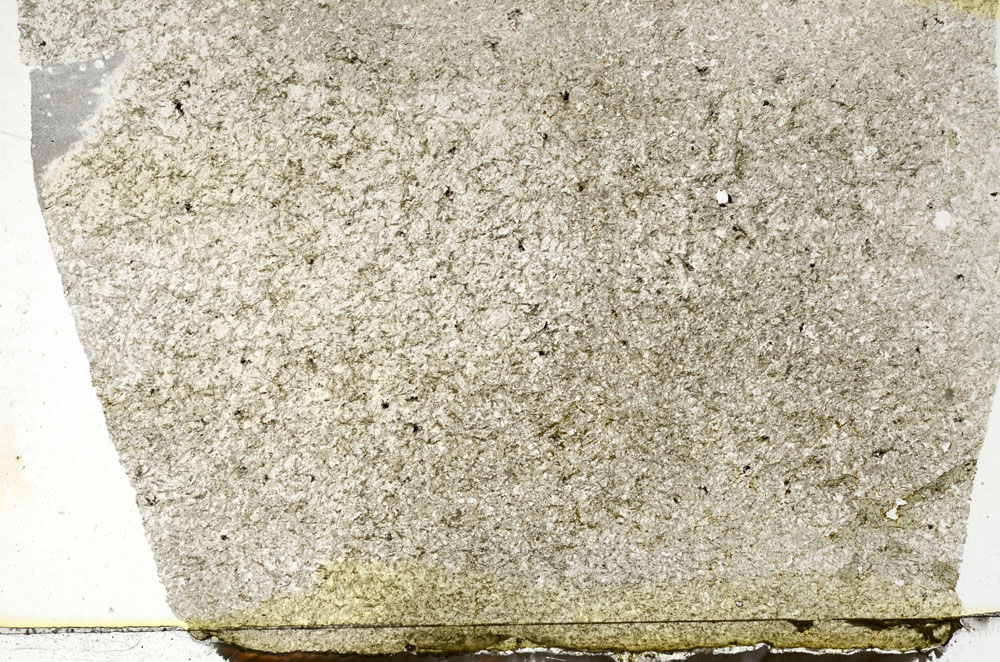 Plane Polarized, S88444
