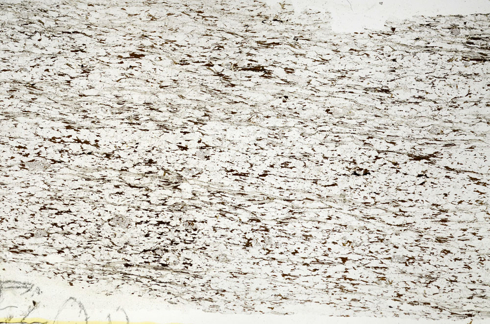 Plane Polarized, S88445