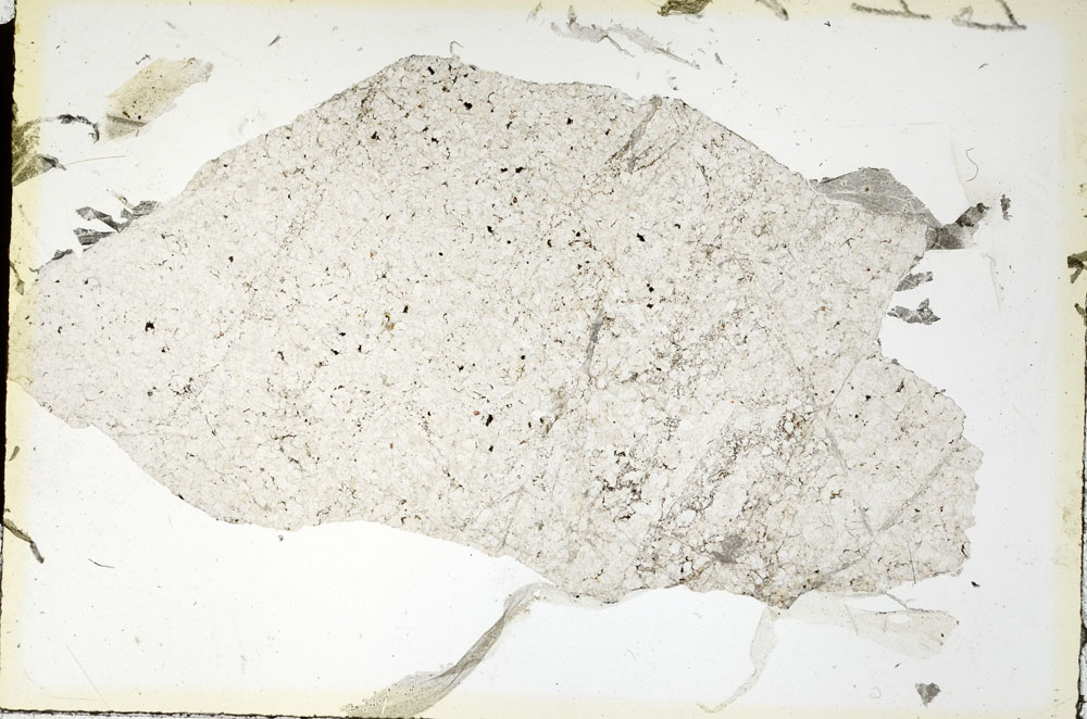 Plane Polarized, S88446