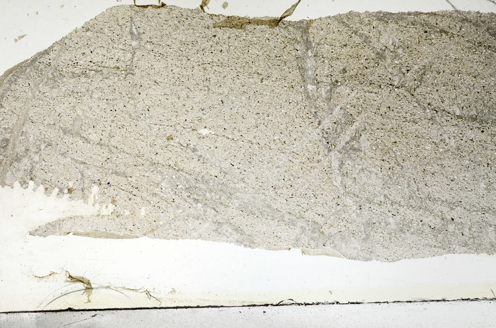 Plane Polarized, S88447