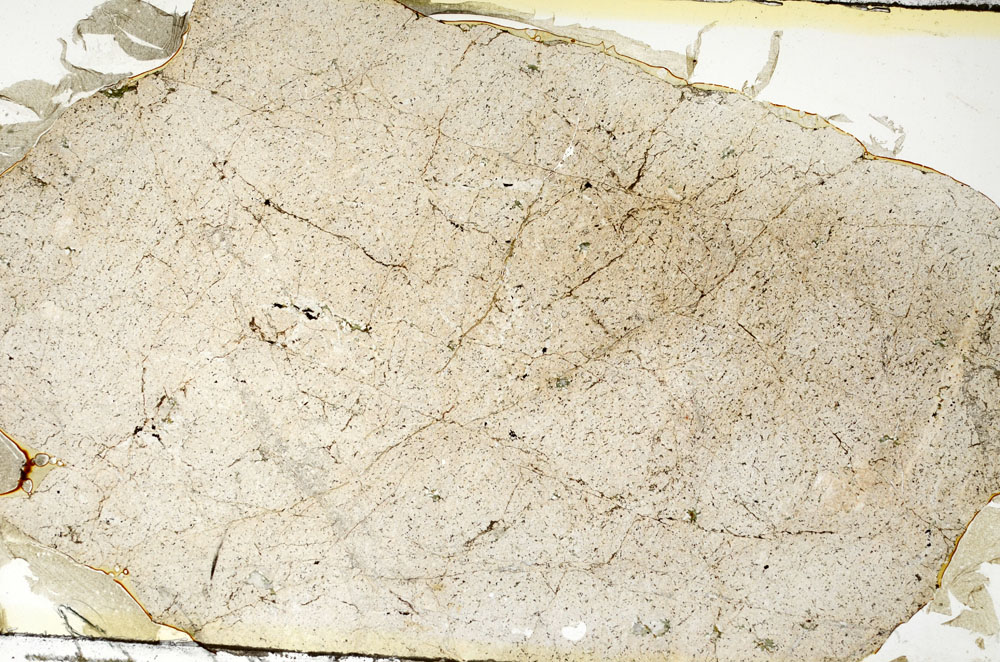 Plane Polarized, S88450