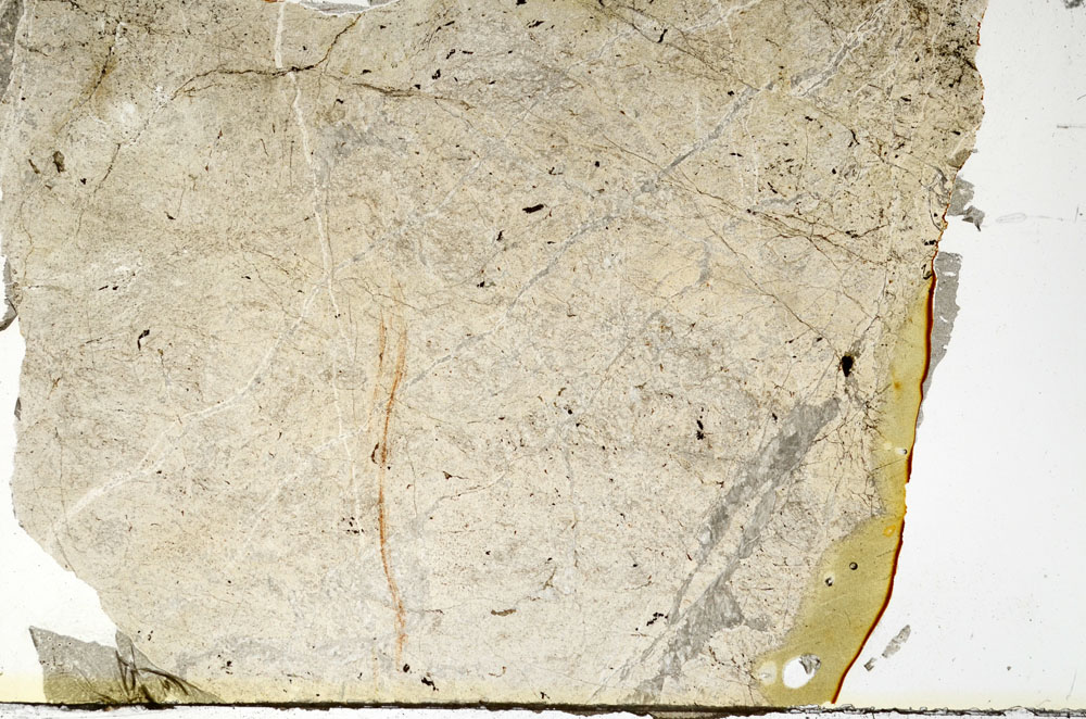 Plane Polarized, S88451