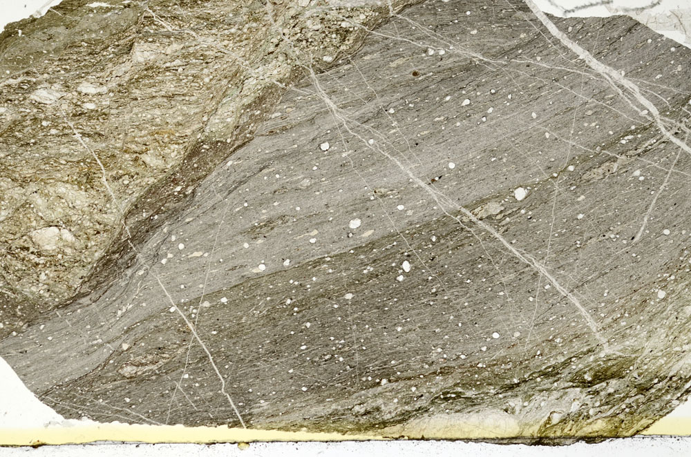 Plane Polarized, S88452
