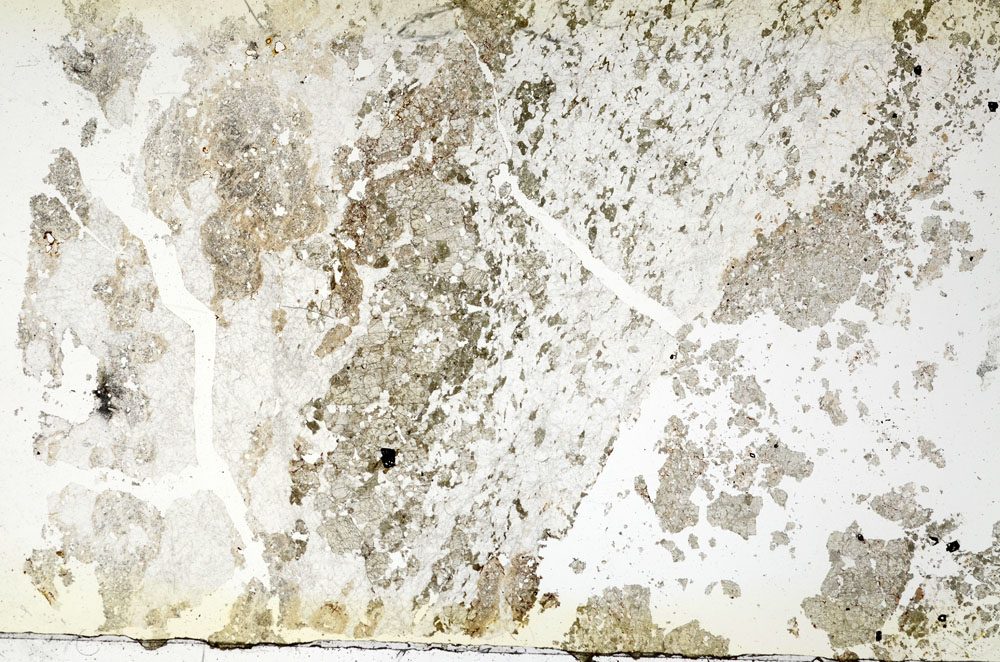 Plane Polarized, S88454