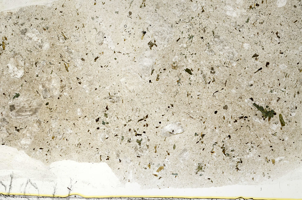Plane Polarized, S88461