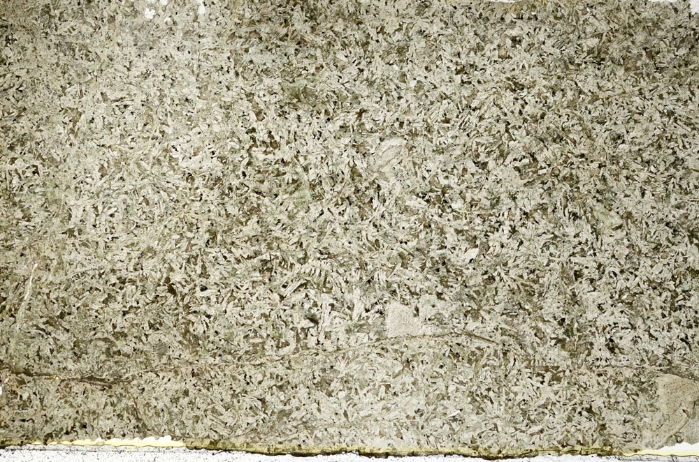 Plane Polarized, S88466