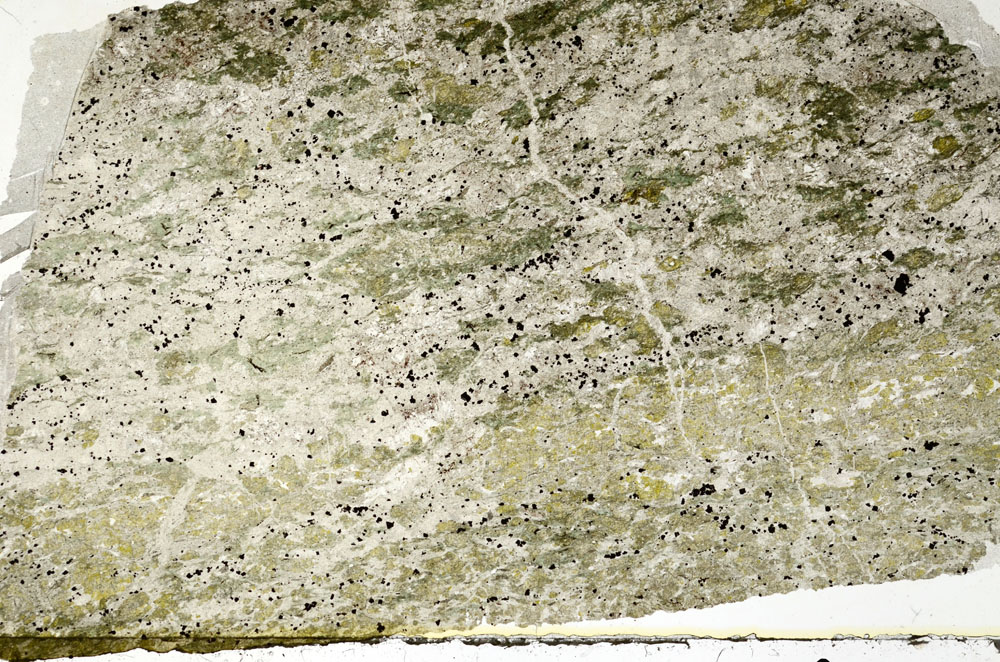 Plane Polarized, S88469
