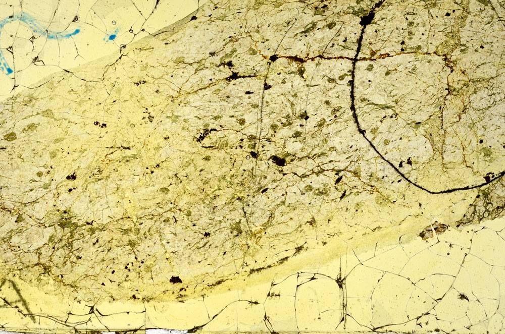 Plane Polarized, S88495