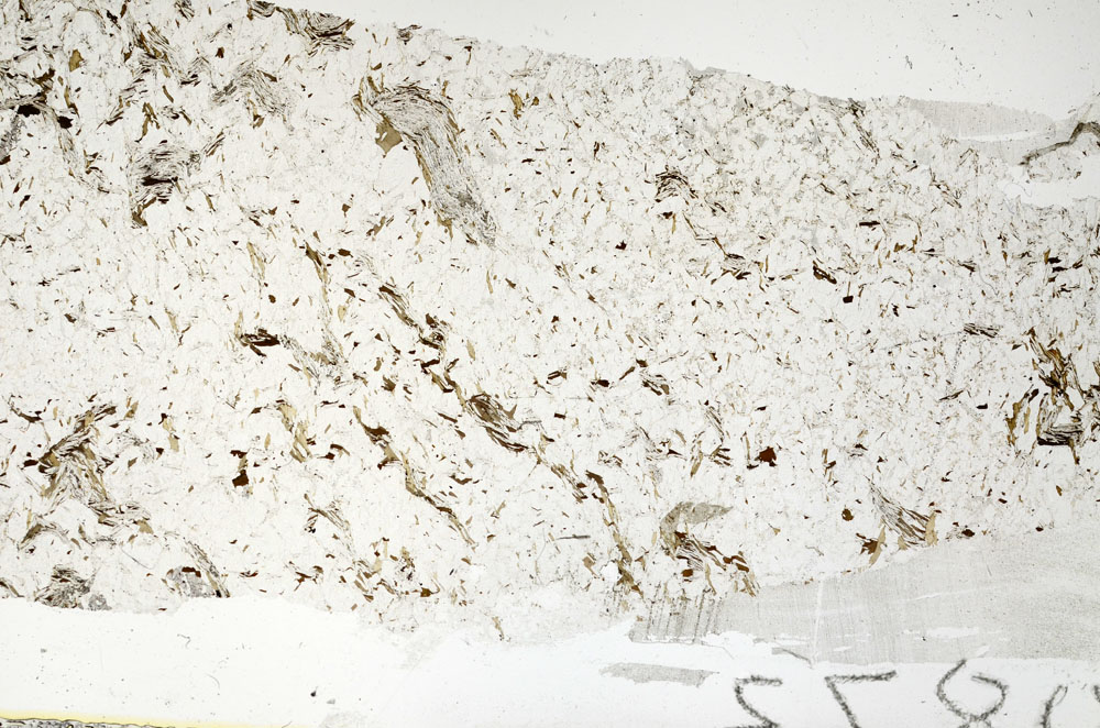 Plane Polarized, S88498