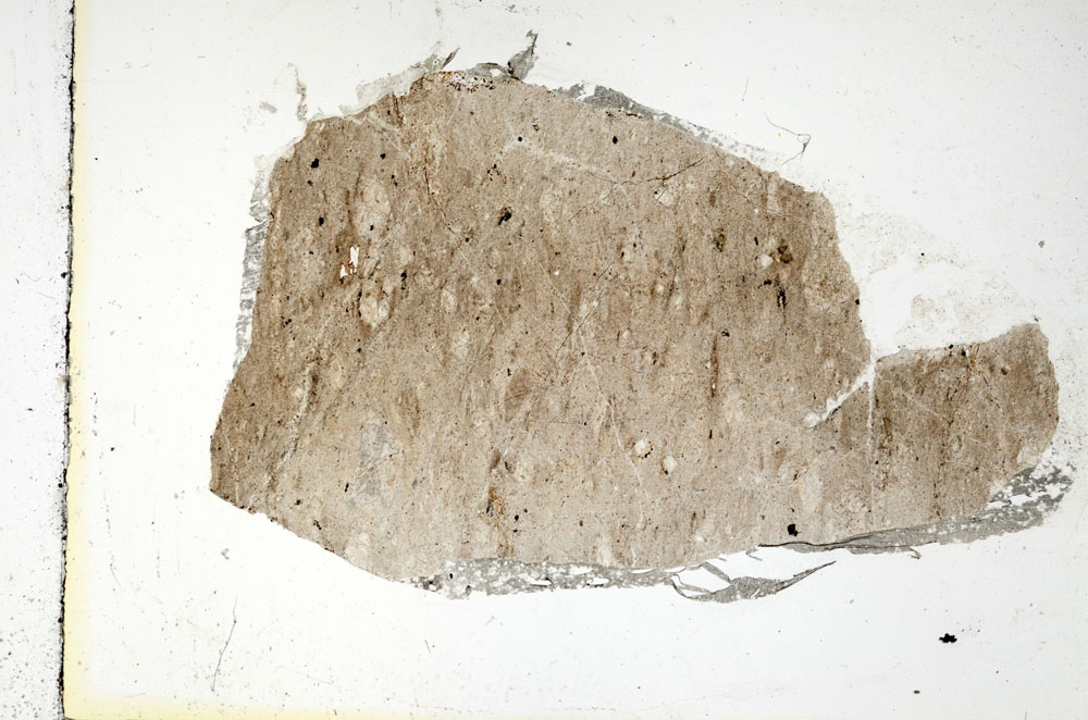 Plane Polarized, S88502