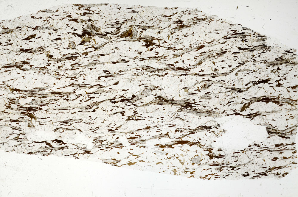 Plane Polarized, S88515