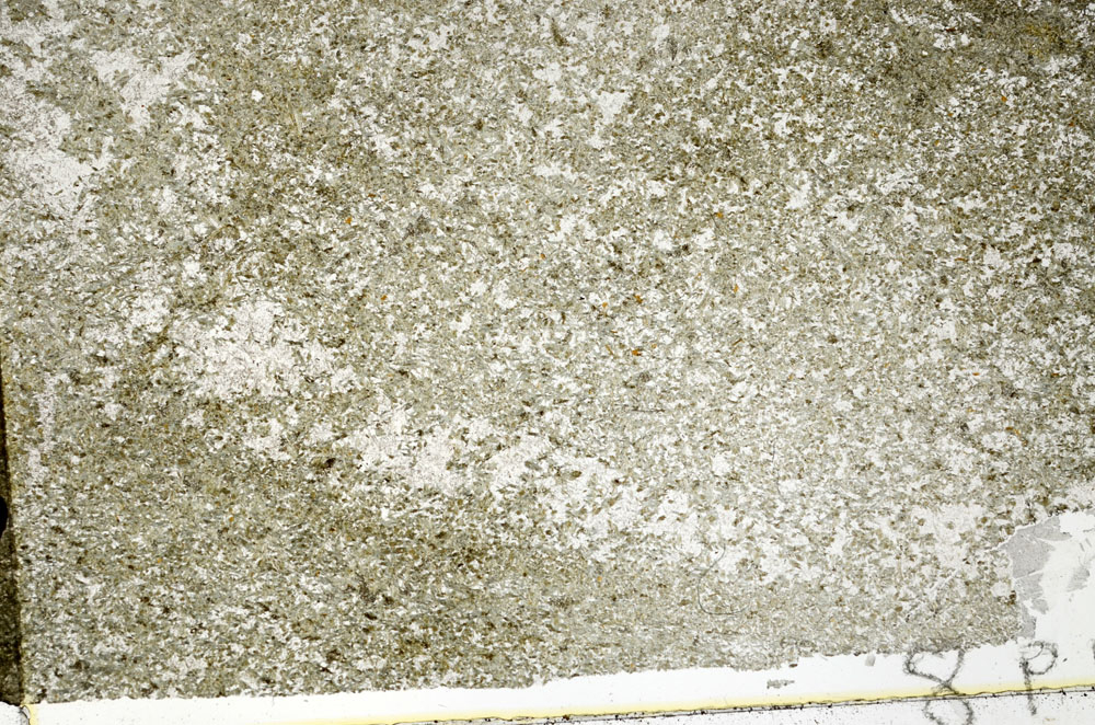 Plane Polarized, S88523