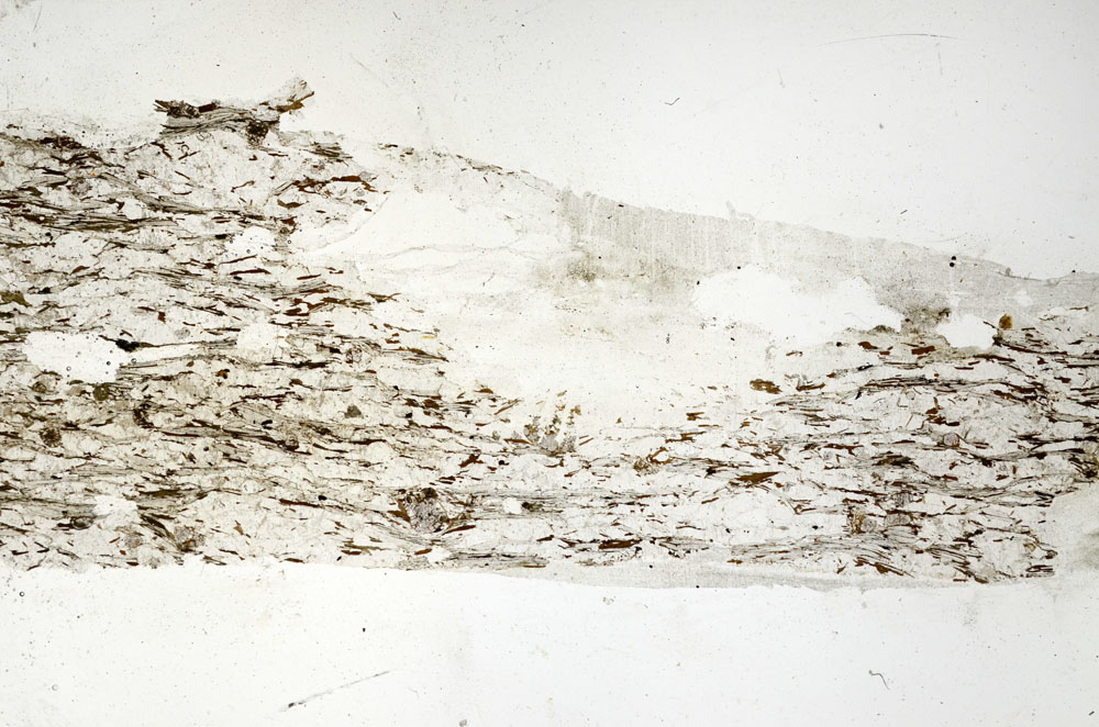 Plane Polarized, S88530