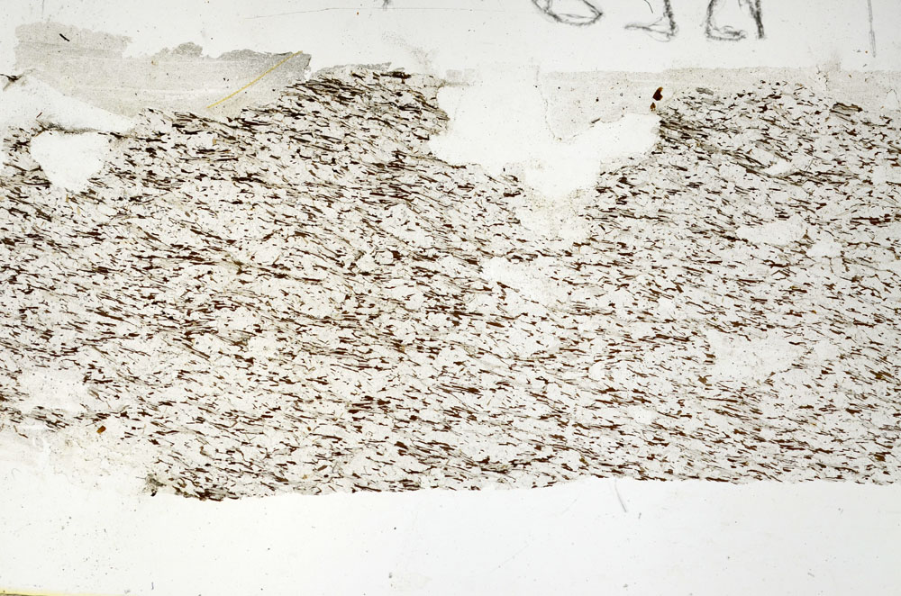 Plane Polarized, S88536