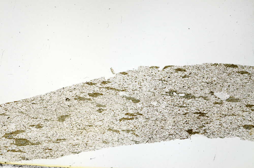 Plane Polarized, S88546