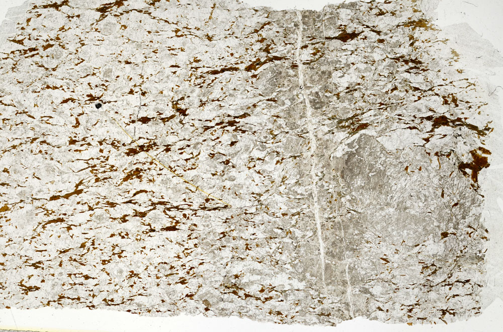 Plane Polarized, S88538/A