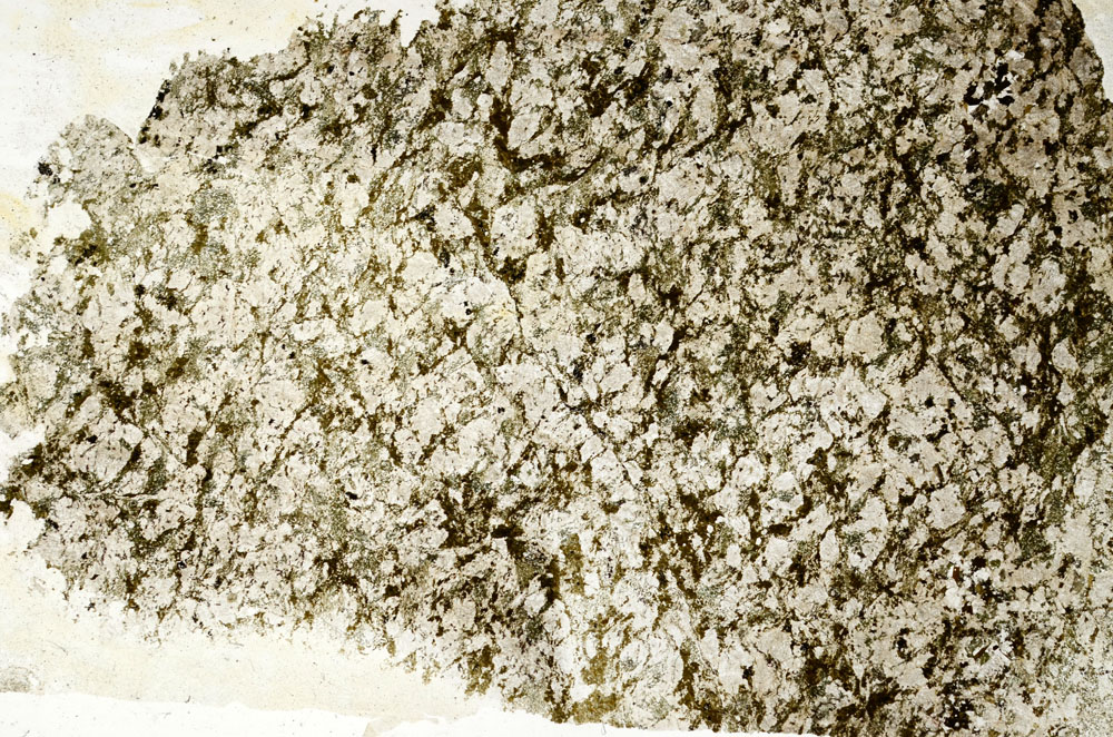 Plane Polarized, S88552