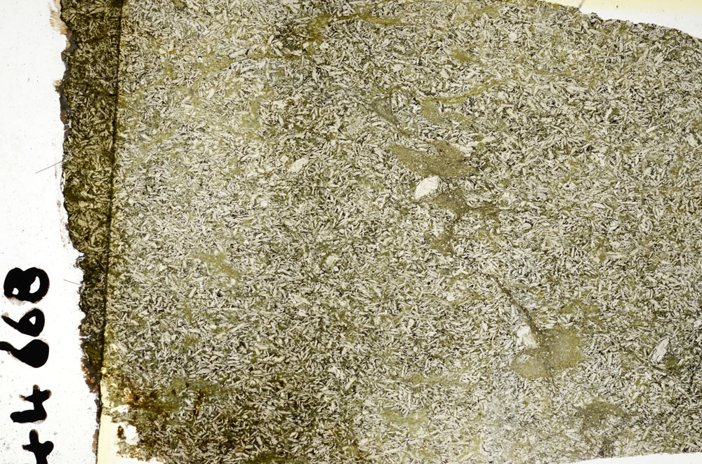 Plane Polarized, S88564