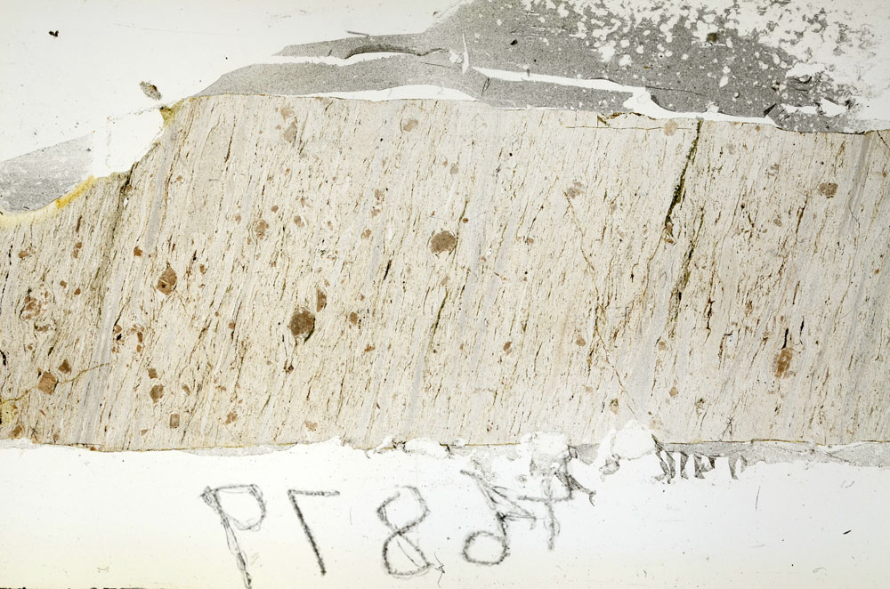 Plane Polarized, S88570