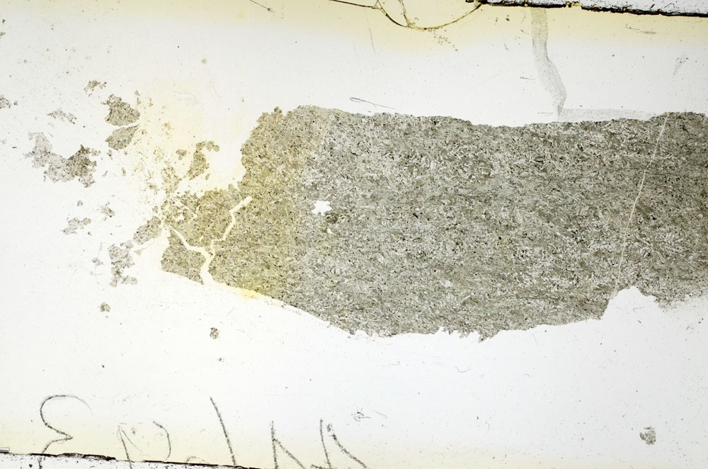 Plane Polarized, S88575