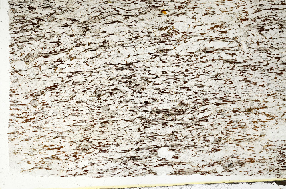 Plane Polarized, S88582