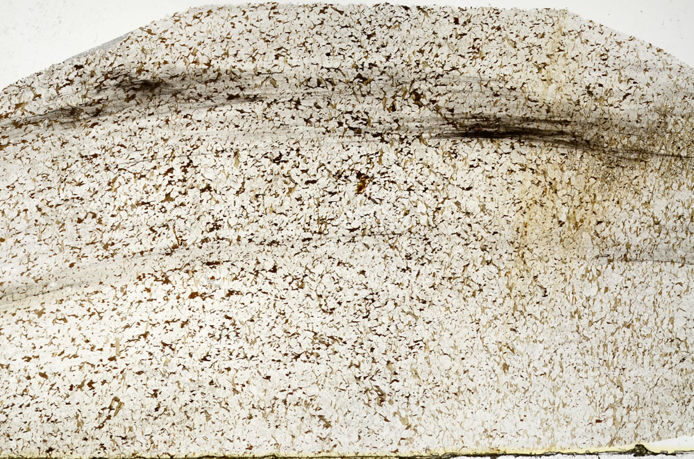 Plane Polarized, S88586