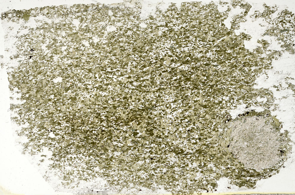 Plane Polarized, S88587