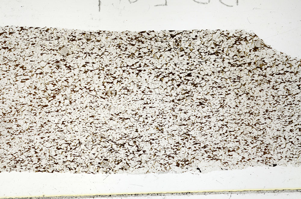 Plane Polarized, S88588