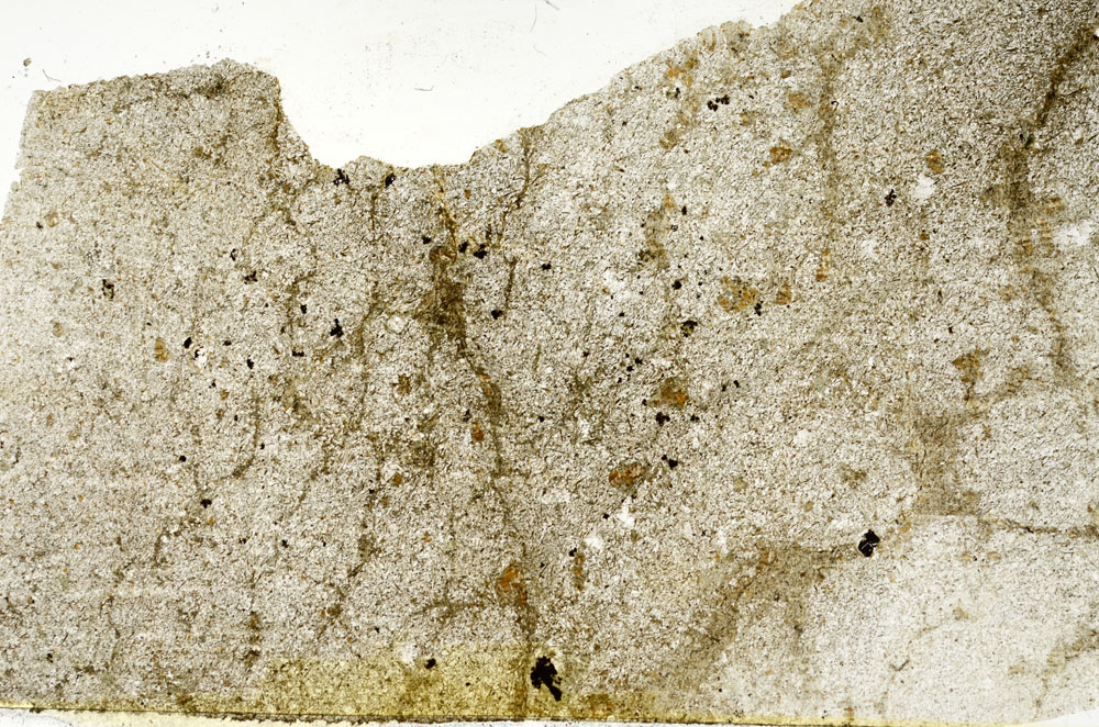 Plane Polarized, S88591