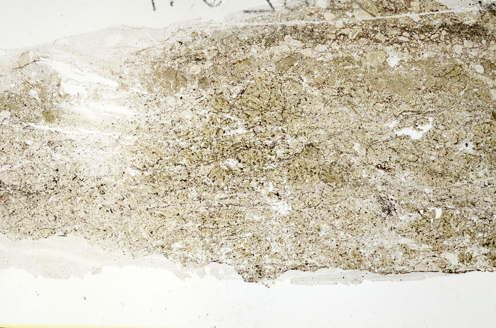 Plane Polarized, S88592