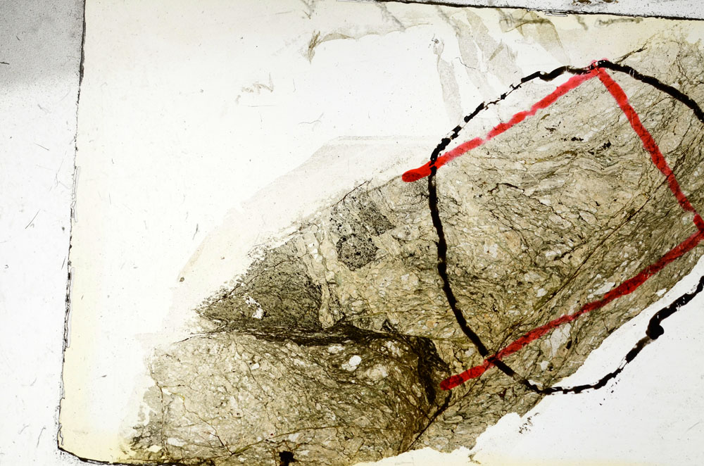 Plane Polarized, S88614