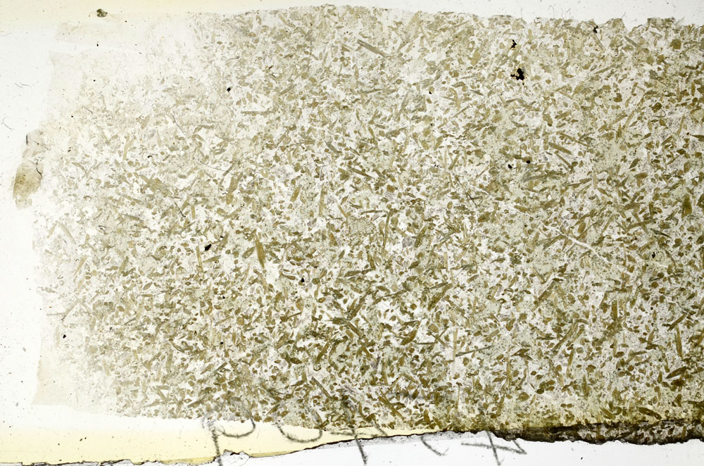 Plane Polarized, S88618