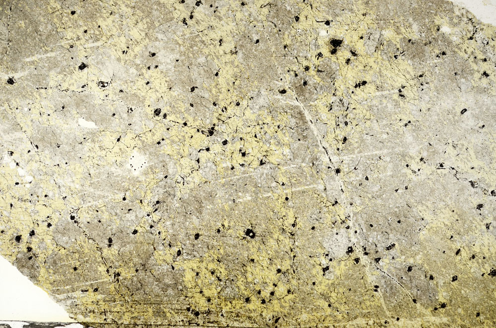 Plane Polarized, S88621