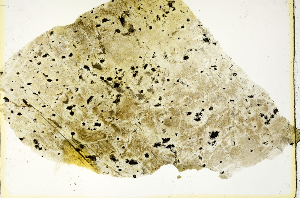 Plane Polarized, S88623