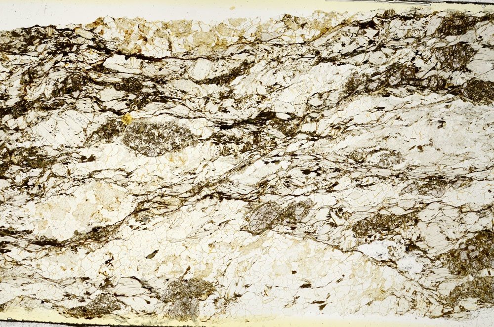 Plane Polarized, S88625