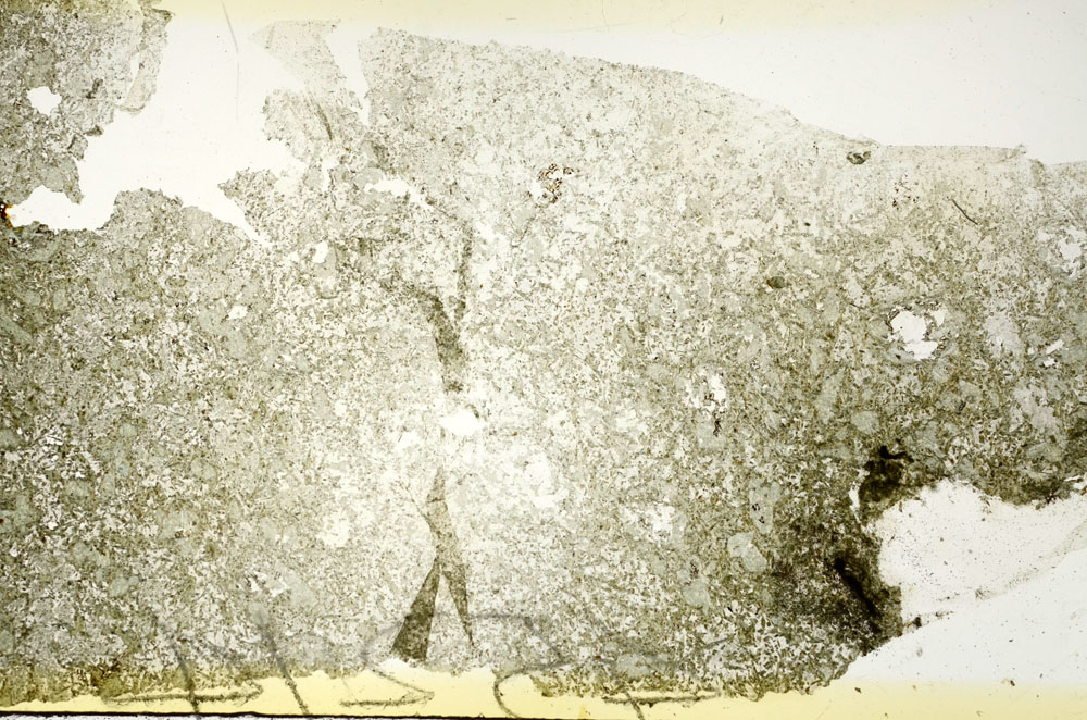 Plane Polarized, S88628