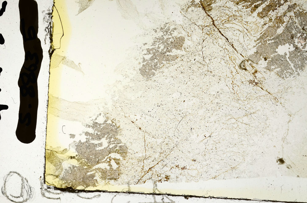 Plane Polarized, S88635