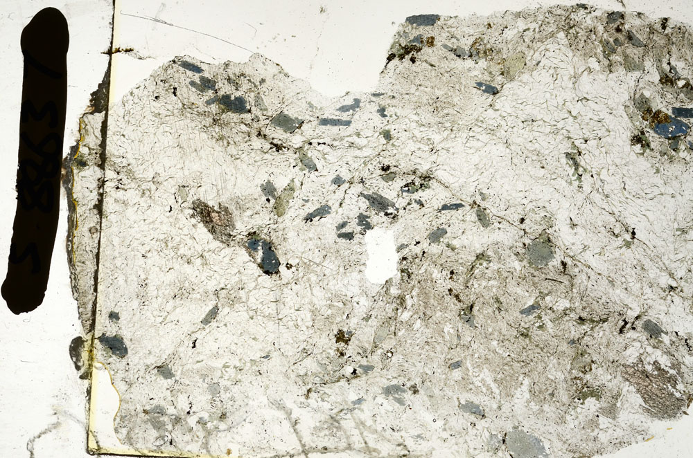 Plane Polarized, S88637