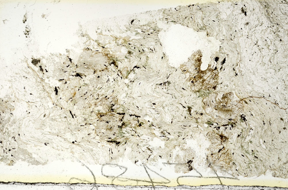 Plane Polarized, S88639