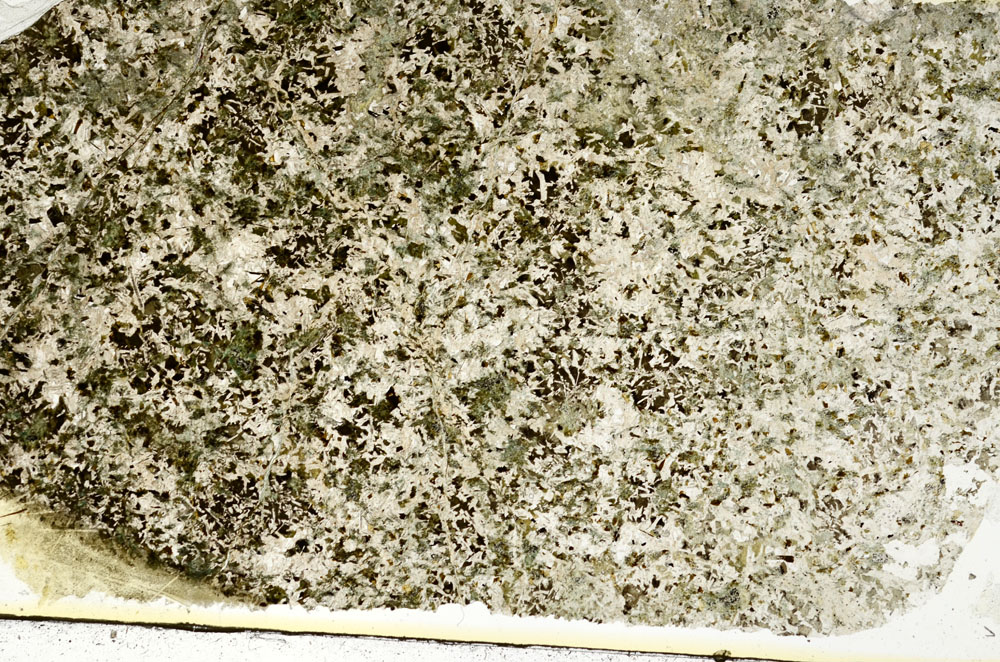 Plane Polarized, S88652