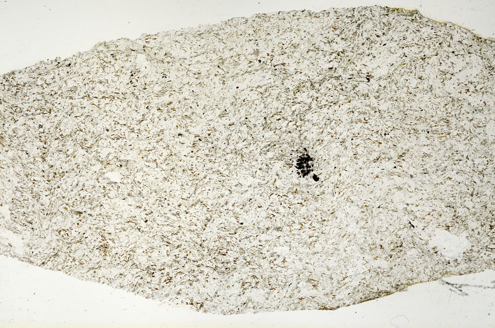 Plane Polarized, S88656