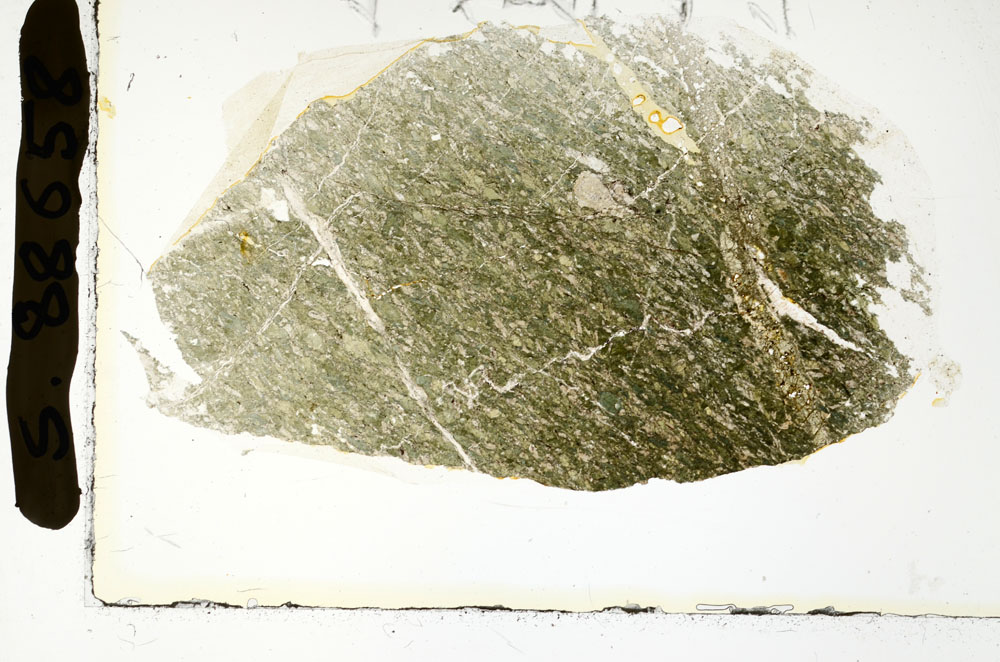 Plane Polarized, S88658