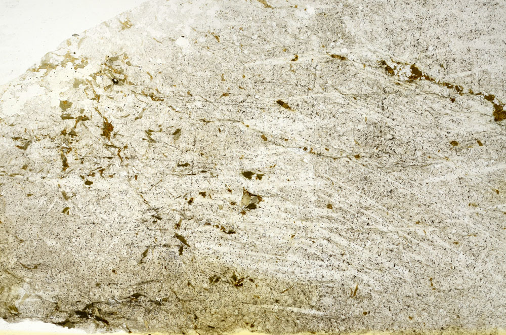 Plane Polarized, S88660