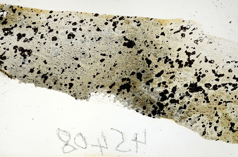 Plane Polarized, S88662