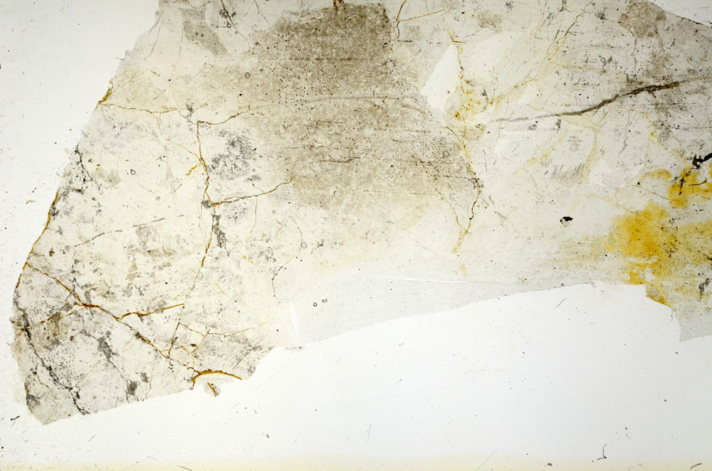 Plane Polarized, S88663